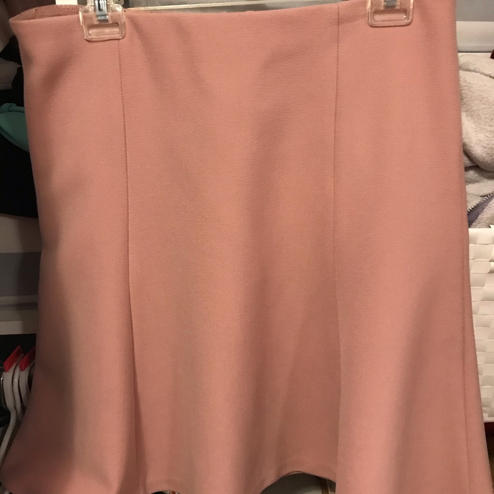 Loft Skater skirt! Never worn!